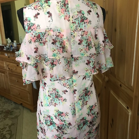 Blush floral design, sleeveless dress with tags - Picture 2 of 2